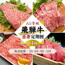 【ふるさと納税】A5等級飛騨牛 定期便 4回(ステーキ/しゃぶしゃぶ/すき焼き/焼肉)【3月・6月・9月・12月発送】| 冷蔵配送 定期便 飛騨牛 赤身 年4回お届け おいしい 人気 飛騨高山 岩ト屋 HF109