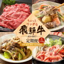 【ふるさと納税】ちょっとリッチな飛騨牛(希少部位)約1.2kg 【3月・6月・9月・12月発送】定期便 4回 | みすじ ウデ すき焼き しゃぶしゃぶ 希少部位 300g 和牛 国産牛 冷凍 飛騨高山 飛騨牛のこもり FC110