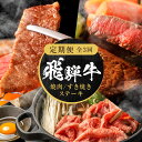 【ふるさと納税】【定期便】全3回 飛騨牛 赤身(ステーキ /焼肉 / すき焼き) | 肉 お肉 焼肉 焼き肉 やきにく ステーキ すき焼き 黒毛和牛 和牛 牛肉 飛騨高山ミート MZ103
