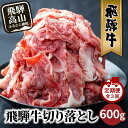 【ふるさと納税】【発送月が選べる】飛騨牛 訳あり 切り落とし600g (日付指定不可) 定期便(全3回)