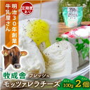 【ふるさと納税】<牧成舎>飛騨の牛乳屋さんが作った こだわりの フレッシュモッツァレラチーズ(100g×2個)単品配送/定期便全3~12回 (毎月発送)|DF036MP