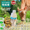 【ふるさと納税】<牧成舎>飛騨の牛乳屋さんが作った こだわりの ヨーグルトバラエティーセット単品配送/ 定期便全3~12回 (毎月発送)| DF041MP