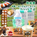 【ふるさと納税】【飛騨乳製品バラエティセット】牛乳・ヨーグルト・チーズ詰め合わせ 11点 単品配送/定期便全3~12回 (毎月発送)|DF010MP