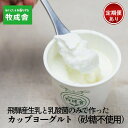 【ふるさと納税】砂糖不使用 プレーンヨーグルト 単品配送/定期便全3~12回 (毎月発送)|DF006MP