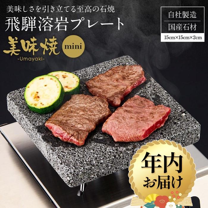 【ふるさと納税】【年内配送が選べる】【飛騨溶岩プレート】美味焼【mini】| 発送時期が選べる 年内発..