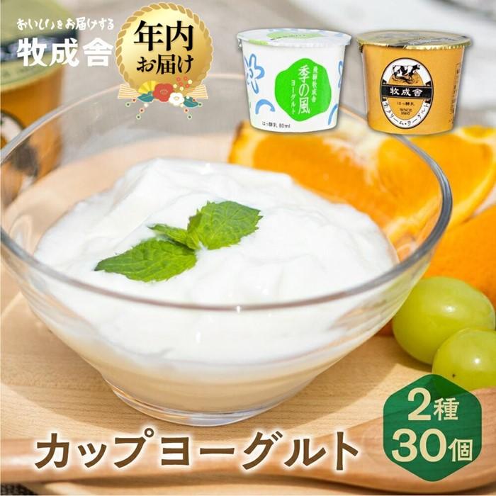 【ふるさと納税】【寄附額見直しました！】【年内配送が選べる】＜牧成舎＞ 飛騨の牛乳屋のこだわりヨ..