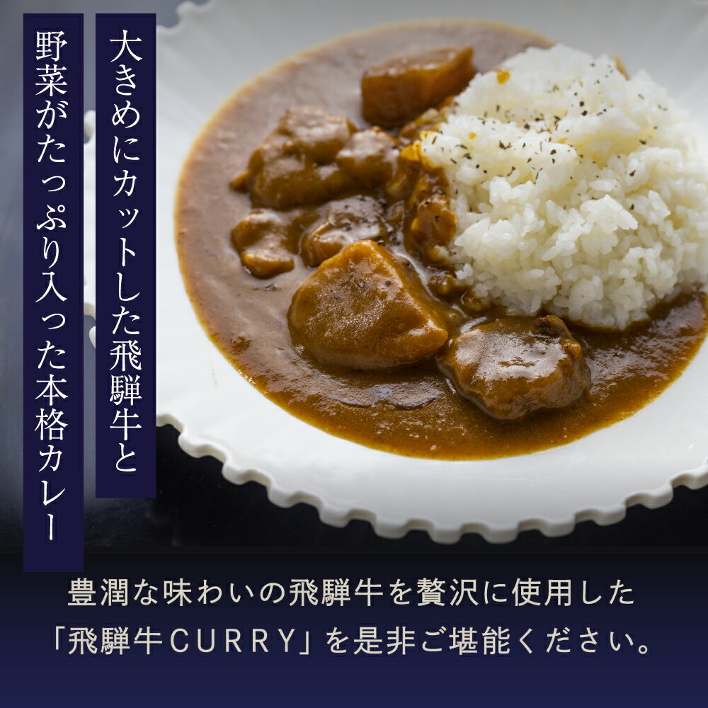 【ふるさと納税】飛騨牛カレー5個 レトルトカレー レトルト 高級 高山市 飛騨高山 岐阜県 b570 19000円