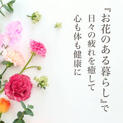 【ふるさと納税】【定期便】全12回 季節のお花を使った日フラワーアレンジメント オフィス 玄関に 季節の花 生花 花 定期便 インテリア 160000円 下出生花店 飛騨高山 TR3993･･･ 画像2