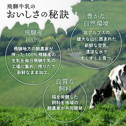 【ふるさと納税】【定期便】9回お届け 飛騨牛乳ミニパック 詰め合わせ フルーツ牛乳 コーヒー牛乳 パックジュース 4種 180ml 16本セット 9ヶ月 ギフト 飛騨産 飛騨高山 45000円 TR3907･･･ 画像2