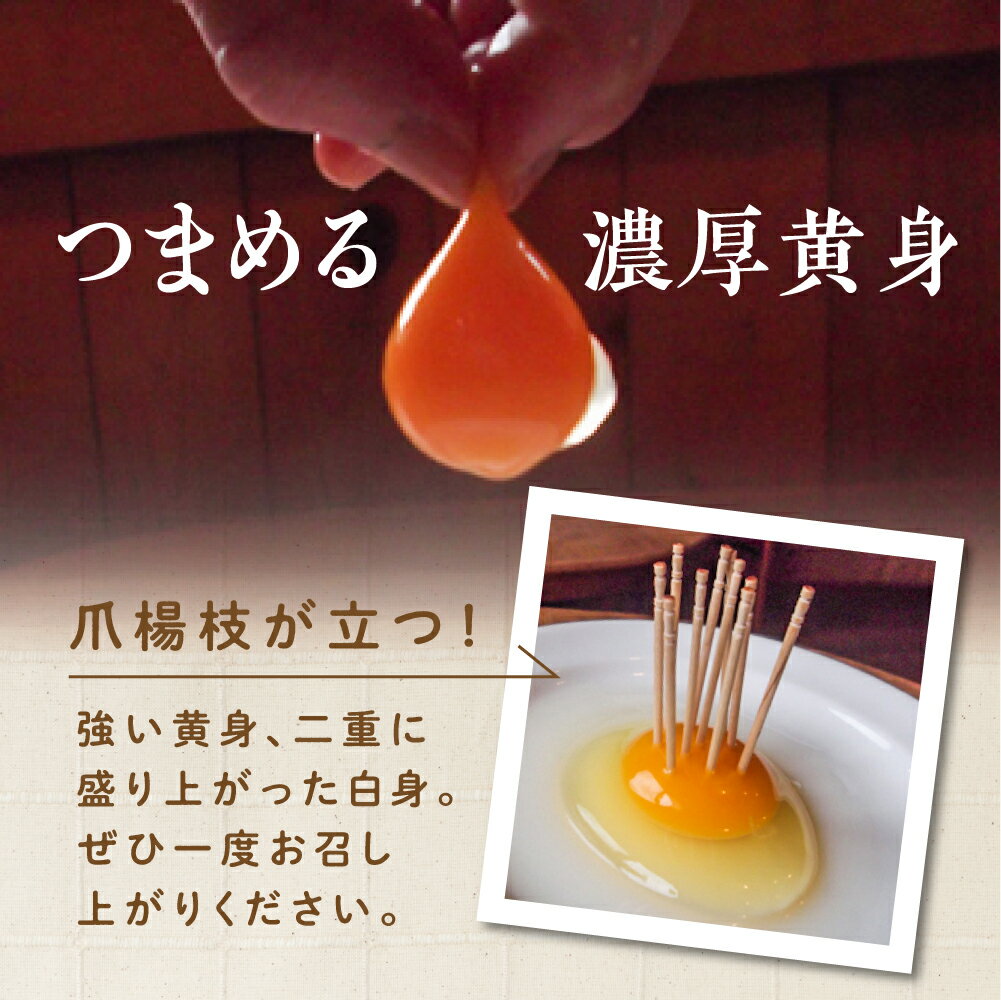 【ふるさと納税】平飼い 自然卵 24個 セット たまご 卵 飛騨高山 森のたまご農園 a645 7000円