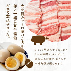 【ふるさと納税】【煮卵1個付き】角煮丼の素 12食 角煮 豚角煮 肉 お肉 惣菜 美味しい 豚肉 お取り寄せ グルメ 醤油タレ煮込み済 小分け 常温保存 お手軽 便利 温めるだけ 人気 おすすめ ふるさと 送料無料 飛騨高山牧場 TR3951･･･ 画像1