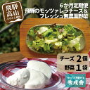 【ふるさと納税】【 6ヶ月 定期便 】飛騨の新鮮モッツァレラ＆フレッシュ野菜 セット 6回お届け モッツァレラチーズ 6回 半年 チーズ ミックスリーフ 無農薬野菜 無農薬 牧成舎 飛騨高山 36000円 TR3332･･･