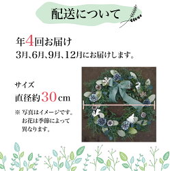 【ふるさと納税】【定期便】年4回 玄関に飾りたい！おまかせ季節のドライフラワーリース 3月 6月 9月 12月 お届け インテリア 装飾 お花 壁飾り リース 季節のお花 67000円 TR3994･･･ 画像2