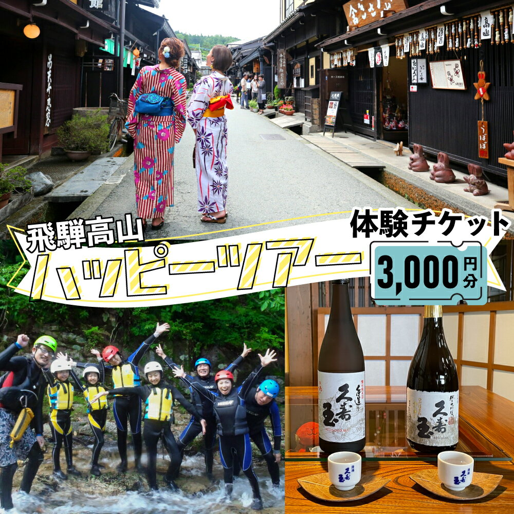【ふるさと納税】ハッピーツアー体験チケット 3,000円分　体験 ツアー 利き酒 酒蔵体験 町歩き フードツアー 座禅 シャワークライミング スノーシュー オンラインツアー アクティビティ ハッピープラス 飛騨高山 TR4074