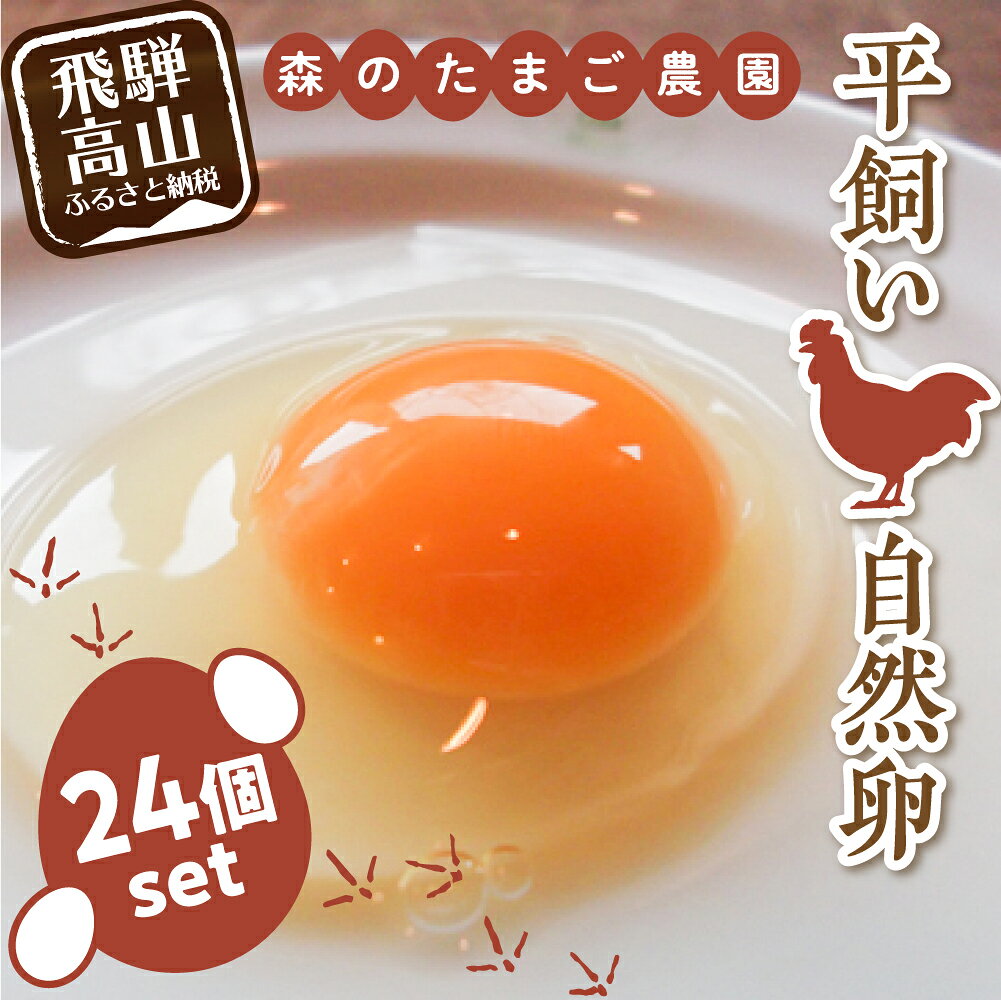 【ふるさと納税】平飼い 自然卵 24個 セット たまご 卵 飛騨高山 森のたまご農園 a645 7000円