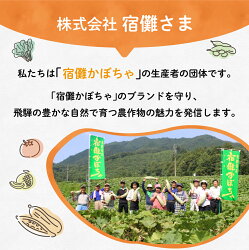 【ふるさと納税】希少！！超大玉飛騨トマト12玉　とまと 大玉トマト 野菜 産地直送 珍しい 数量限定 期間限定 宿儺 TR4285 画像2