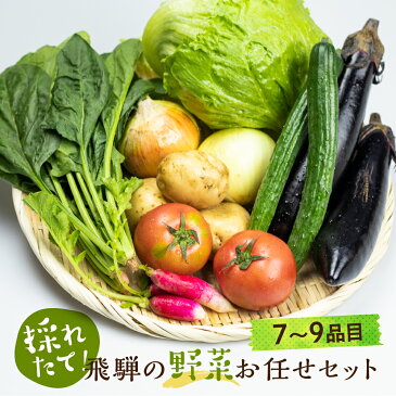 【ふるさと納税】飛騨 野菜セット 7〜9点 セット 飛騨高山産 野菜 夏野菜 秋野菜 おまかせ お取り寄せ 7000円 新鮮 産地直送 飛騨産 野菜 夏 夏野菜 秋 秋野菜 バーベキュー サラダ BBQ TR3075 7000円