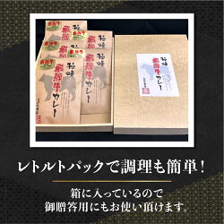 【ふるさと納税】飛騨牛 5等級 カレー 5食セット 肉 飛騨高山 TR3844 画像2