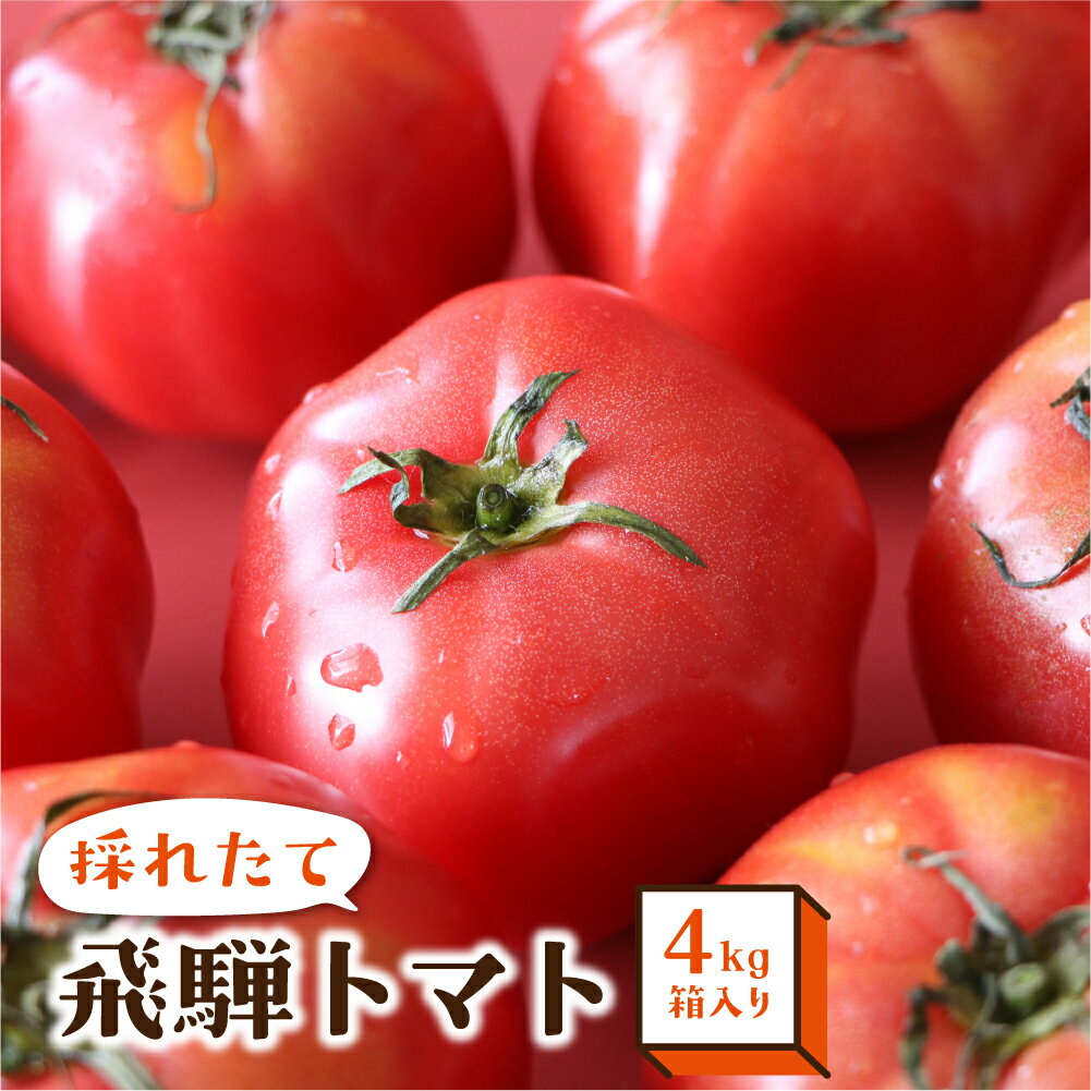 【ふるさと納税】一級品 飛騨 トマト 4kg 箱入り とまと 大玉トマト サイズお任せ 産地直送 野菜 やさい 期間限定 宿儺 TR4284