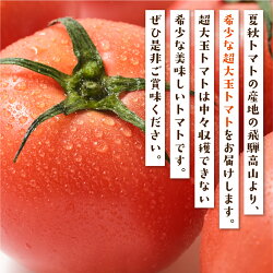 【ふるさと納税】希少！！超大玉飛騨トマト12玉　とまと 大玉トマト 野菜 産地直送 珍しい 数量限定 期間限定 宿儺 TR4285 画像1