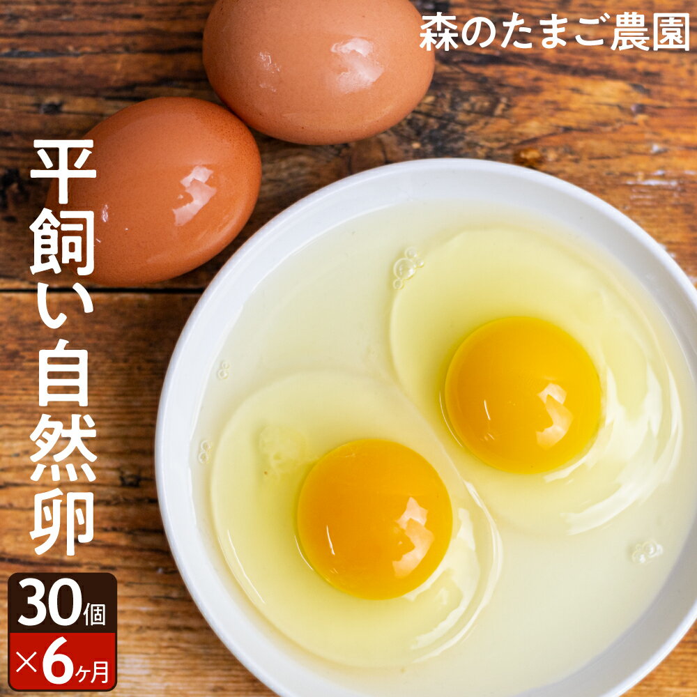 【ふるさと納税】6ヶ月 定期便　平飼い 自然卵 30個 セット　たまご 卵 飛騨高山 森のたまご農園 TR4368のサムネイル