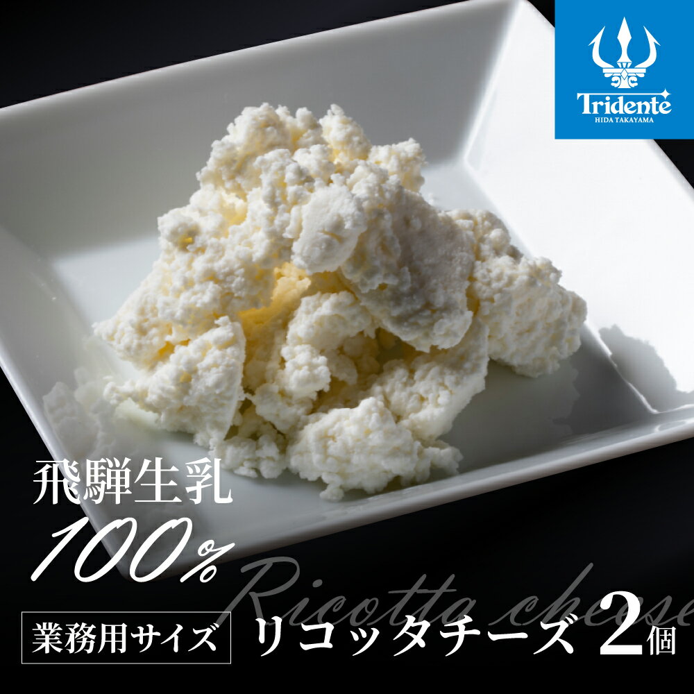 【ふるさと納税】リコッタチーズ 250g　2個セット　リコッタ 冷蔵 サラダ デザート お菓子 スイーツ おつまみ デザート 前菜 サラダ 新鮮 生乳 国産 低温殺菌 乳製品 無添加 大容量 業務用サイズ 訳あり 訳アリ 飛騨高山 トリデンテ リアライン 8000円 TR4539