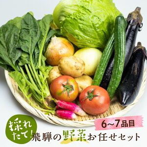 【ふるさと納税】飛騨 野菜セット 6〜7点 飛騨高山産 野菜 夏野菜 秋野菜 おまかせ お取り寄せ 新鮮 産地直送 飛騨産 夏 夏野菜 秋 秋野菜 バーベキュー サラダ 5000円 BBQ TR3076 5000円