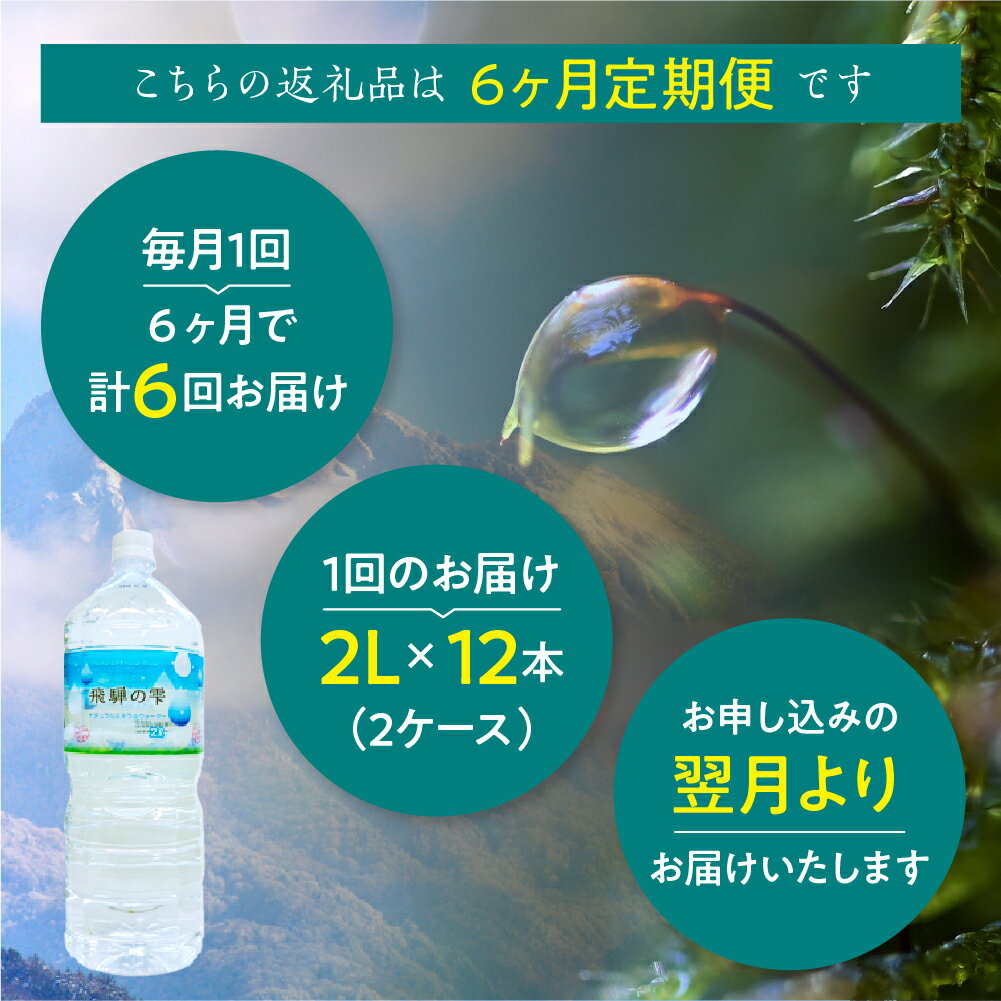 【ふるさと納税】【6回　定期便】天然水　飛騨の雫　2L×12本　(2ケース) ミネラルウォーター 水 ペットボトル 飲料水 2l 2リットル 白啓酒店 飛騨高山 TR4148 お楽しみ