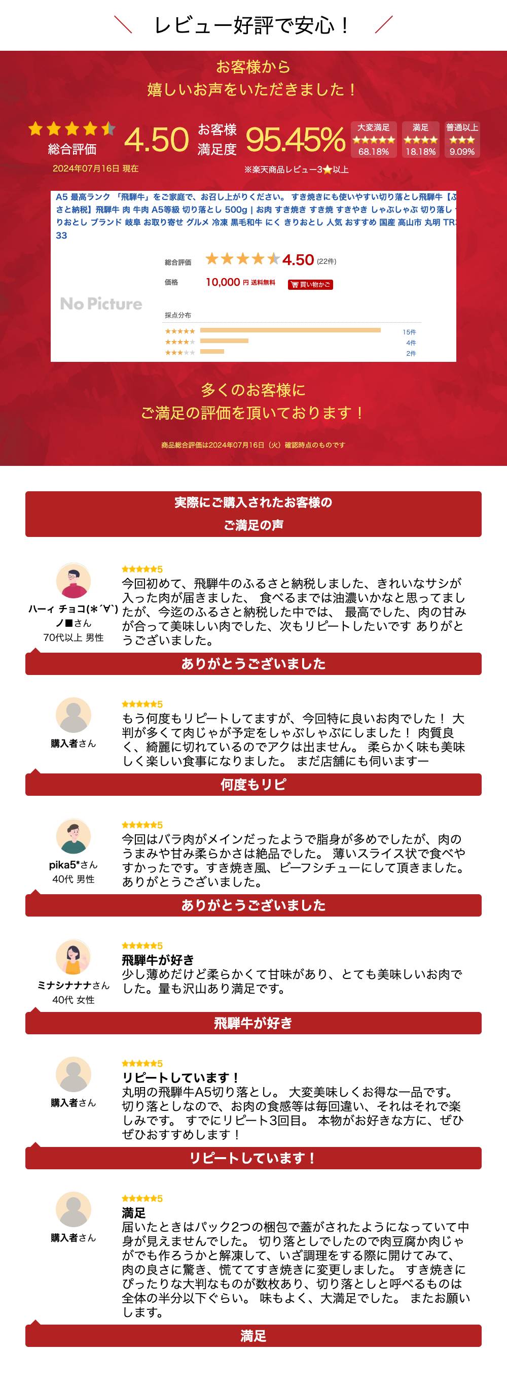 【ふるさと納税】飛騨牛 肉 牛肉 A5等級 切り落とし 500g | お肉 すき焼き すき焼 すきやき しゃぶしゃぶ 切り落し 切りおとし ブランド 岐阜 お取り寄せ グルメ 冷凍 黒毛和牛 にく きりおとし 人気 おすすめ 国産 高山市 丸明 TR3733