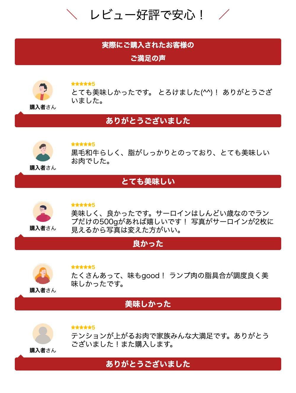 【ふるさと納税】牛肉 肉 飛騨牛 A5 ステーキ 2種 食べ比べ 500g 計4枚 ( ランプ 100g×3枚 サーロイン 200g×1枚 ) | お肉 黒毛和牛 冷凍 ギフト 化粧箱入 岐阜 高山 セット 詰め合わせ 食べくらべ 人気 おすすめ c509