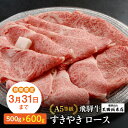 【ふるさと納税】【期間限定】A5 飛騨牛 (ロース)600g（500g＋100g） すき焼き 黒毛和牛 肉 飛騨高山 熨斗 のし すき d519-z