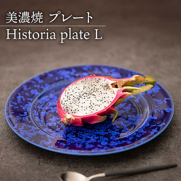 【ふるさと納税】【美濃焼】 プレートL Historia plate L 【柴田商店】≪多治見市≫ 食器 大皿 [TAL066]