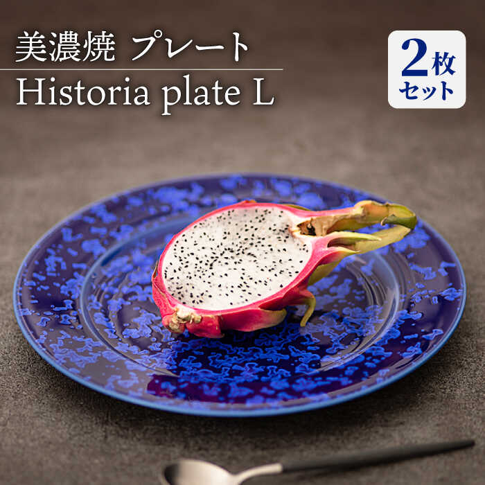 【ふるさと納税】【美濃焼】 プレートL 2枚セット Historia plate L pair set 【柴田商店】≪多治見市≫ 食器 皿 ペア [TAL067]