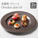 【ふるさと納税】【美濃焼】 プレートM 2枚セット Obsidian plate M pair set 【柴田商店】≪多治見市≫ 食器 皿 ペア [TAL073]