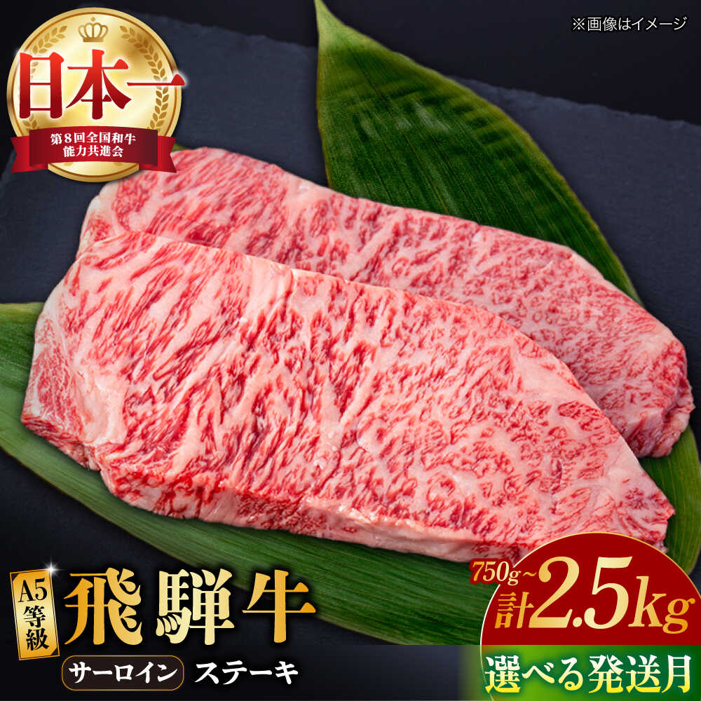 [選べる発送月・容量]飛騨牛 A5等級 サーロイン ステーキ用 和牛 ブランド牛 国産 牛肉 多治見市 / 渡辺精肉店 