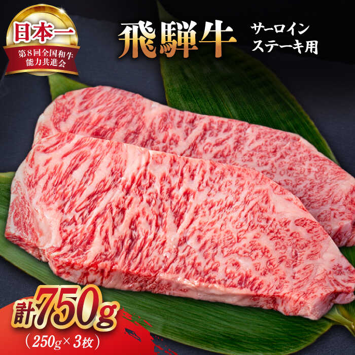 60％以上節約 ふるさと納税 SS-07 松阪牛焼き肉用 500g 三重県多気町