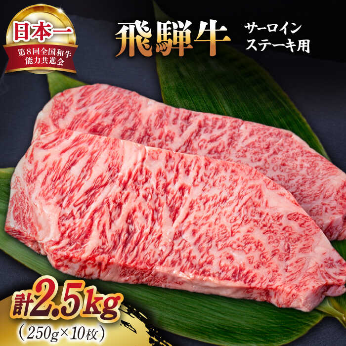 飛騨牛 A4等級 以上 サーロイン ステーキ 用 10枚 ( 計2.5kg ) 【肉の丸長】≪多治見市≫ 和牛 ブランド牛 国産 [TAZ003]