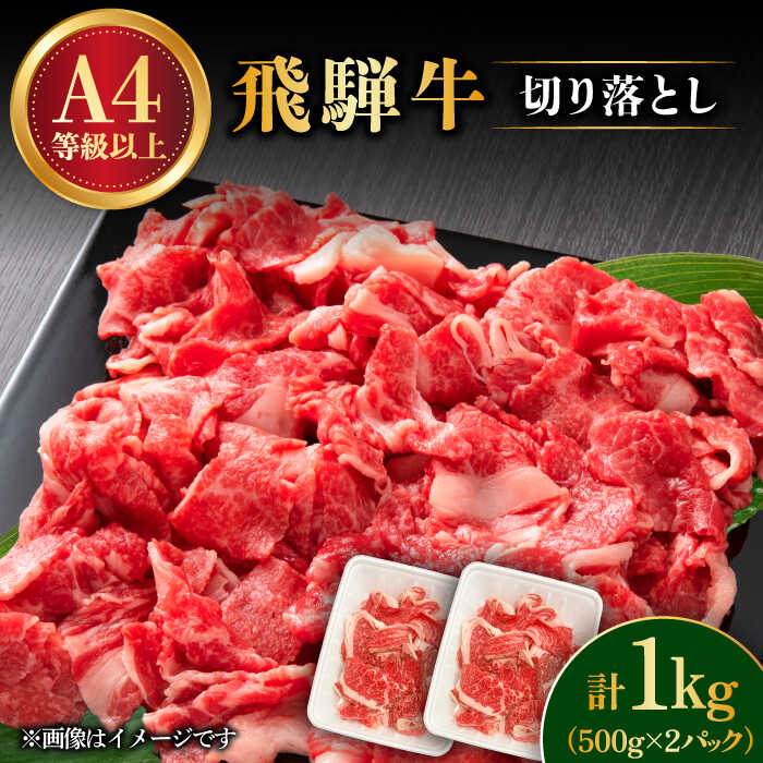 飛騨牛 切り落とし 1kg ( 500g × 2P )【肉の丸長】≪多治見市≫ 和牛 ブランド牛 国産 [TAZ005]