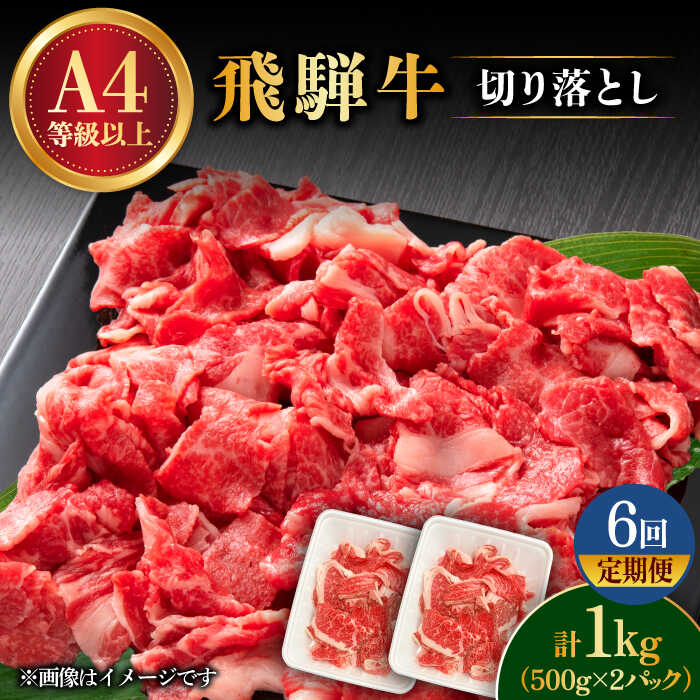 【 6回 定期便 】【 飛騨牛 】 切り落とし 1kg × 6回 ( 計 6kg ) 【肉の丸長】≪多治見市≫ 和牛 ブランド牛 国産 [TAZ016]