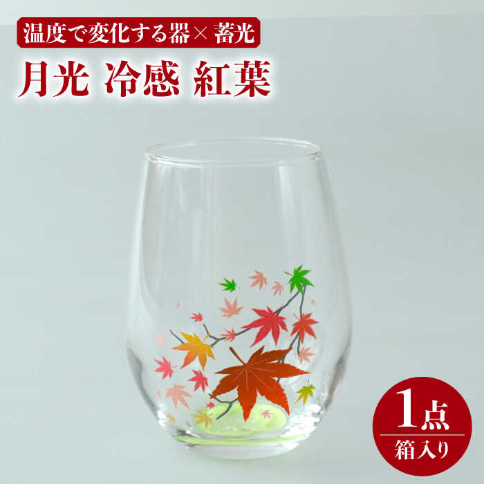 温度で変化する器 × 蓄光『月光 冷感 紅葉』【丸モ高木陶器】≪多治見市≫ 食器 [TBA153]