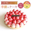 【ふるさと納税】【5回定期便】 旬の食材や果物で作った パティシエセレクト ケーキ 【ルポ】≪多治見市≫ 洋菓子 [TBN030]