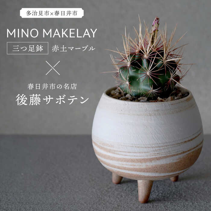 【ふるさと納税】多治見市×春日井市コラボ 【美濃焼】 MINO MAKELAY 三つ足鉢 赤土マーブル × 【日本有数のサボテンの生産地】 春日井市の名店 後藤サボテン 【井澤コーポレーション】 [TBP161]