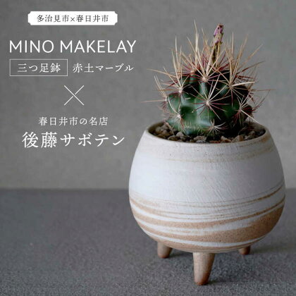 多治見市×春日井市コラボ 【美濃焼】 MINO MAKELAY 三つ足鉢 赤土マーブル × 【日本有数のサボテンの生産地】 春日井市の名店 後藤サボテン 【井澤コーポレーション】 [TBP161]