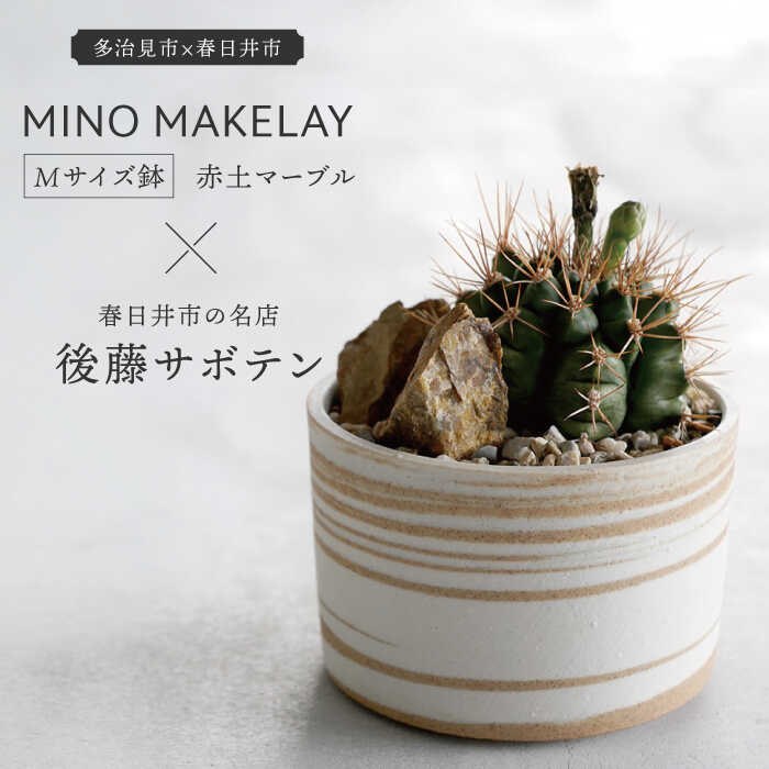 【ふるさと納税】多治見市×春日井市コラボ【美濃焼】 MINO MAKELAY Mサイズ 鉢 赤土マーブル × 【日本有数のサボテンの生産地】 春日井市の名店 後藤サボテン 【井澤コーポレーション】 [TBP166]