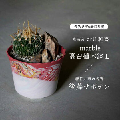 多治見市×春日井市コラボ 【美濃焼】 陶芸家「北川和喜」 marble 高台植木鉢 L × 【日本有数のサボテンの生産地】 春日井市の名店 後藤サボテン 【井澤コーポレーション】[TBP172]