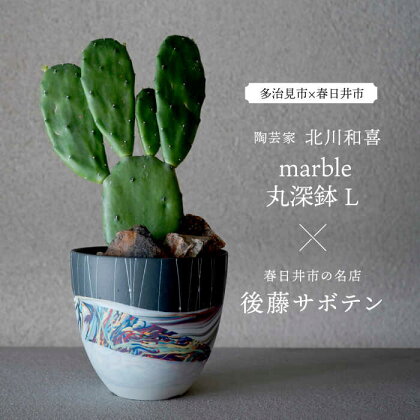 多治見市×春日井市コラボ 【美濃焼】 陶芸家「北川和喜」 marble 丸深鉢 L × 【日本有数のサボテンの生産地】 春日井市の名店 後藤サボテン 【井澤コーポレーション】[TBP173]