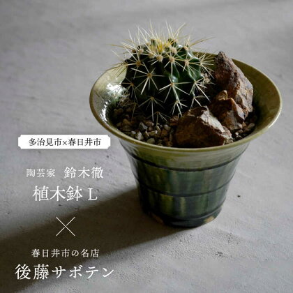 多治見市×春日井市コラボ 【美濃焼】 陶芸家「鈴木徹」 植木鉢 L × 【日本有数のサボテンの生産地】 春日井市の名店 後藤サボテン 【井澤コーポレーション】[TBP178]