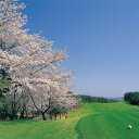 【ふるさと納税】ゴルフ 平日利用券 6,000円分【多治見 カントリークラブ】≪多治見市≫ GOLF [TCC002] 3