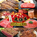 16位! 口コミ数「0件」評価「0」【全12回定期便】うなぎと飛騨牛 スタミナがつん！ 贅沢 うな牛 定期便 2人前 《多治見市》ステーキ ブランド牛 飛騨牛 蒲焼 高級 [T･･･ 