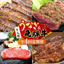 【ふるさと納税】【全4回定期便】うなぎと飛騨牛 スタミナ